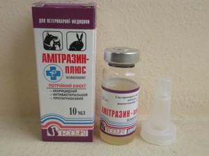 Особенности лечения клеща на ресницах Амитразином