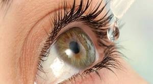Правила лечения глаз каплями Индоколлир
