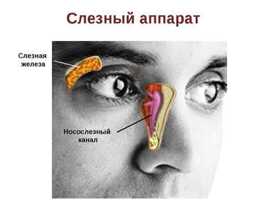 Воспаление носослезного канала фото