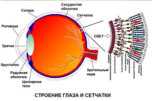 Патологии глаза