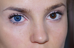Описание контактных линз для изменения цвета глаз